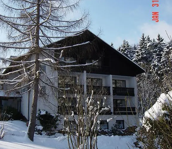 Am Forst